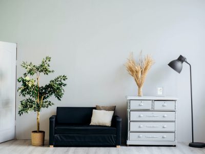 ¿Hay Seguros de Hogar que cubren hurto?