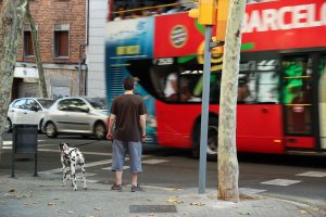 Se puede viajar en subte con perros